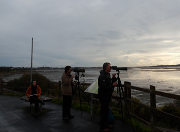 Counting Oystercatchers